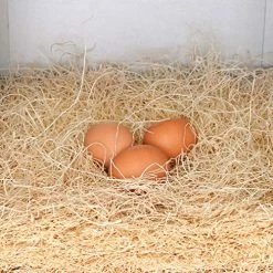 Mia's Pet Supply Rural365 Chicken Nest Box Liners 12 Pack - Premium Chicken Coop Bedding for Coop Cages 13 Mia's Pet Supply Rural365 Chicken Nest Box Liners 12 Pack - Chicken Coop Bedding, Chicken Coop Cages