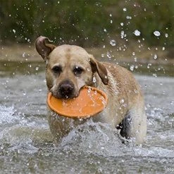 Mia's Pet Supply : Dog Frisbee Toy, Dog Toys