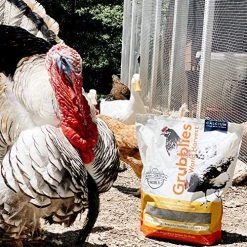 Mia's Pet Supply Chicken Coop Cages - Healthy Natural Grubs for Chickens | Affordable & High-Quality 17 Mia's Pet Supply Chicken Coop Cages Grubblies World Harvest Healthy Natural Grubs For Chickens