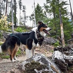 Mia's Pet Supply BENEFAB Therapeutic Anxiety Shirt For Dogs Apparel