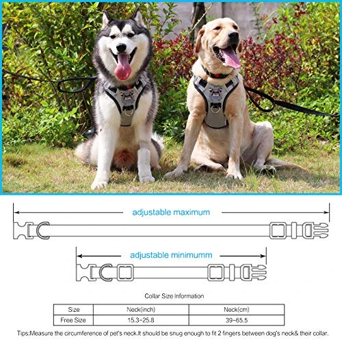 Mia's Pet Supply Silver Big Dog Harness - No-Pull Anti-Tear Adjustable Leash & Harness for Large Dogs 5 Mia's Pet Supply : Babyltrl Silver Big Dog Harness No-Pull Anti-Tear Adjustable Leashes And Harness