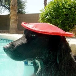 Mia's Pet Supply Pet Supplies : Pet Flying Discs : Nerf Dog Nylon Flying Disk Dog Toy, Large, Red : Dog Toys