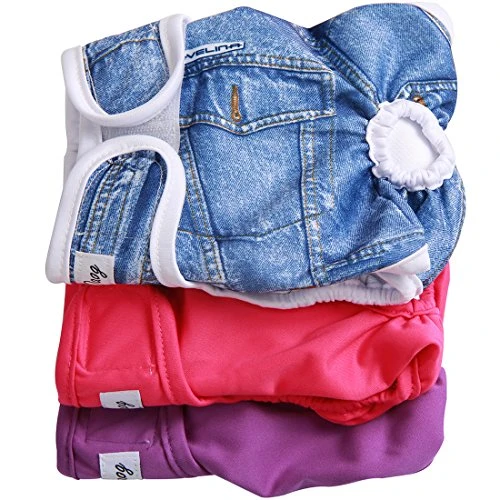 Mia's Pet Supply : JoyDaog(3 Pack Small Dog Diapers For Female Reusable Premium Puppy Wrap S