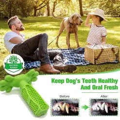 Mia's Pet Supply Dog Toothbrush Pet Chew Toy Dog Toothbrush Dog Toys