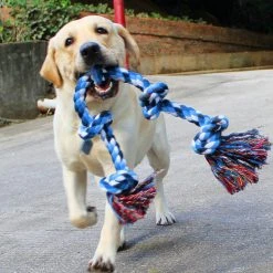 Mia's Pet Supply Tooth Cleaning Resistance To Bite Pet Toys Training Game