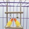 Mia's Pet Supply Swing Cage Hanging Bell Cockatiel Parakeet Toys