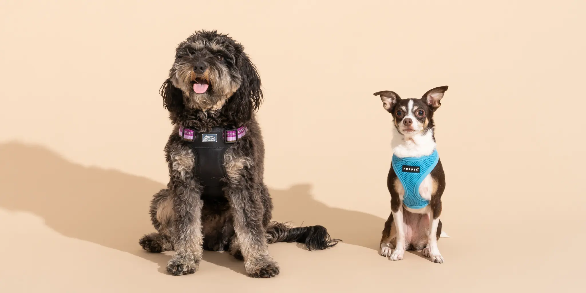 Cheap Mia's Pet Supply Store 2 Cheap Mia's Pet Supply Store -Cheap Mia's Pet Supply Store dogharnesses 2048px 7126 2x1 1